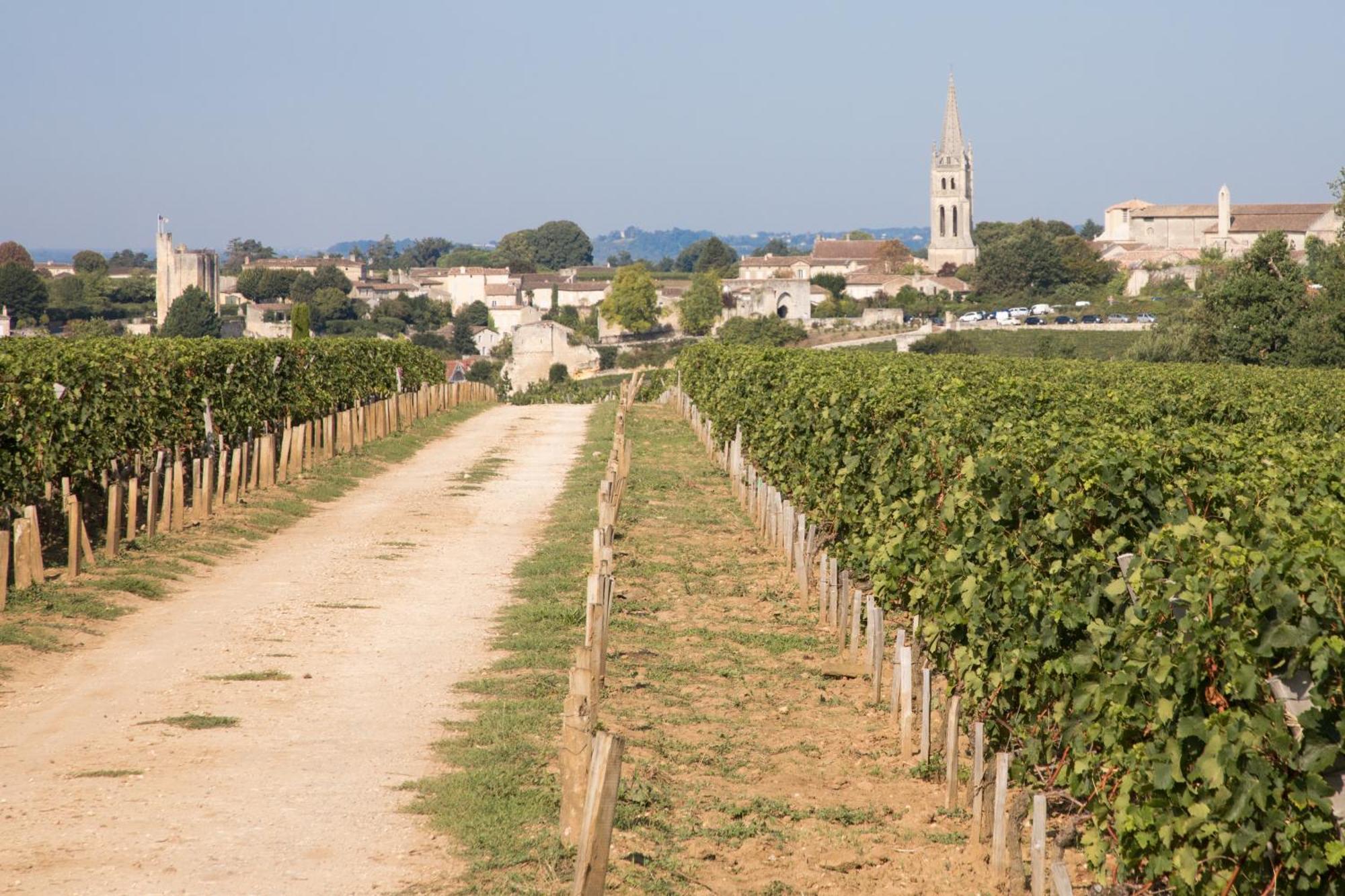 Les Clefs De Troplong Mondot Saint-Emilion Exterior photo
